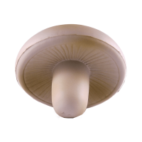 High Quality Mushroom Stress Ball With Custom Logo